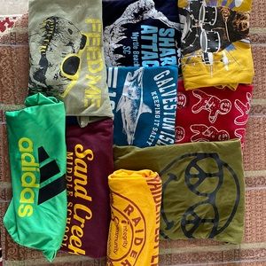 9 t-shirts (14/16) worn, but no hole or visible stains.